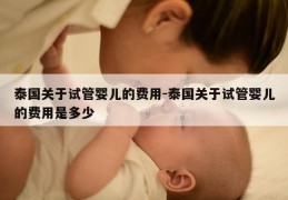 泰国关于试管婴儿的费用-泰国关于试管婴儿的费用是多少