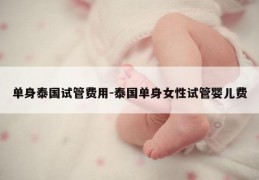 单身泰国试管费用-泰国单身女性试管婴儿费