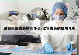 试管形成囊胚时间多长-试管囊胚的成功几率