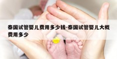 泰国试管婴儿费用多少钱-泰国试管婴儿大概费用多少