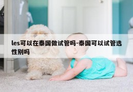 les可以在泰国做试管吗-泰国可以试管选XB吗