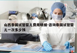 山西泰国试管婴儿费用明细-咨询泰国试管婴儿一次多少钱
