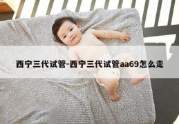 西宁三代试管-西宁三代试管aa69怎么走
