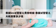 泰国les试管婴儿费用明细-泰国试管婴儿大概需要多少钱