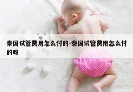 泰国试管费用怎么付的-泰国试管费用怎么付的呀