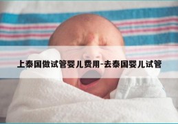 上泰国做试管婴儿费用-去泰国婴儿试管