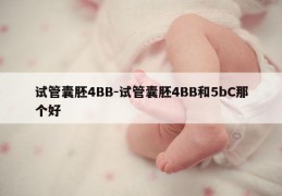 试管囊胚4BB-试管囊胚4BB和5bC那个好