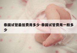 泰国试管最低费用多少-泰国试管费用一般多少