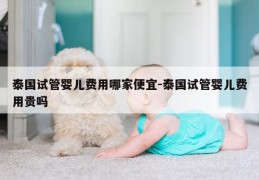 泰国试管婴儿费用哪家便宜-泰国试管婴儿费用贵吗