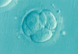 看完你就明白：眉山三代试管婴儿成功容易吗？成功率和这些因素有关？