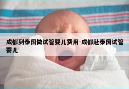 成都到泰国做试管婴儿费用-成都赴泰国试管婴儿