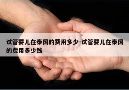 试管婴儿在泰国的费用多少-试管婴儿在泰国的费用多少钱