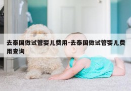 去泰国做试管婴儿费用-去泰国做试管婴儿费用查询