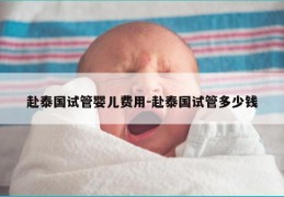 赴泰国试管婴儿费用-赴泰国试管多少钱