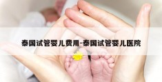 泰国试管婴儿费用-泰国试管婴儿医院