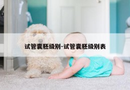 试管囊胚级别-试管囊胚级别表