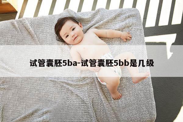 试管囊胚5ba-试管囊胚5bb是几级