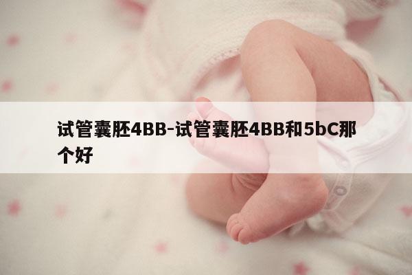 试管囊胚4BB-试管囊胚4BB和5bC那个好