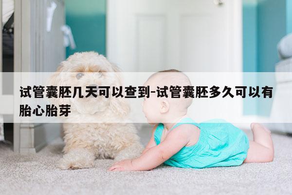 试管囊胚几天可以查到-试管囊胚多久可以有胎心胎芽