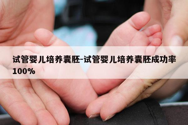 试管婴儿培养囊胚-试管婴儿培养囊胚成功率100%