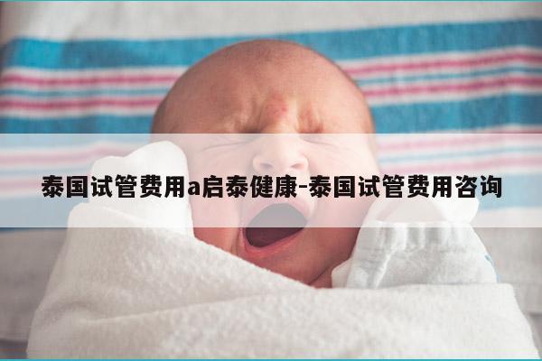 泰国试管费用a启泰健康-泰国试管费用咨询