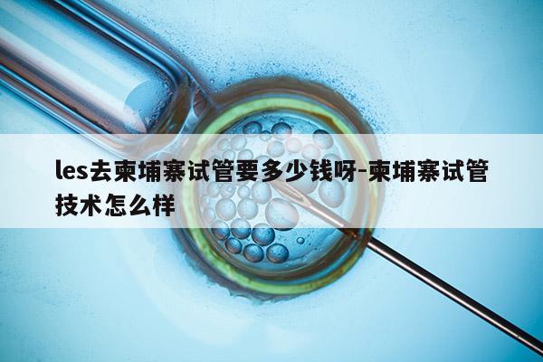 les去柬埔寨试管要多少钱呀-柬埔寨试管技术怎么样