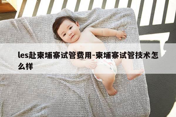 les赴柬埔寨试管费用-柬埔寨试管技术怎么样