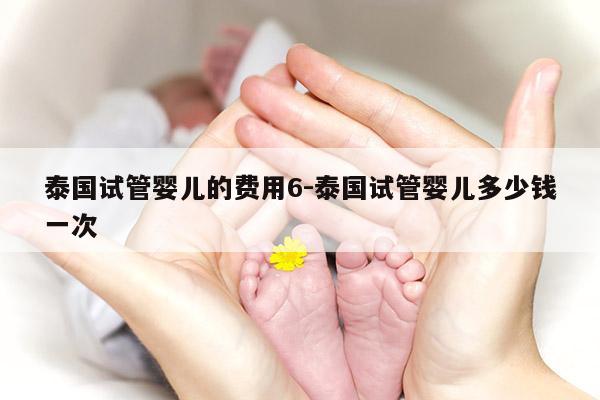 泰国试管婴儿的费用6-泰国试管婴儿多少钱一次