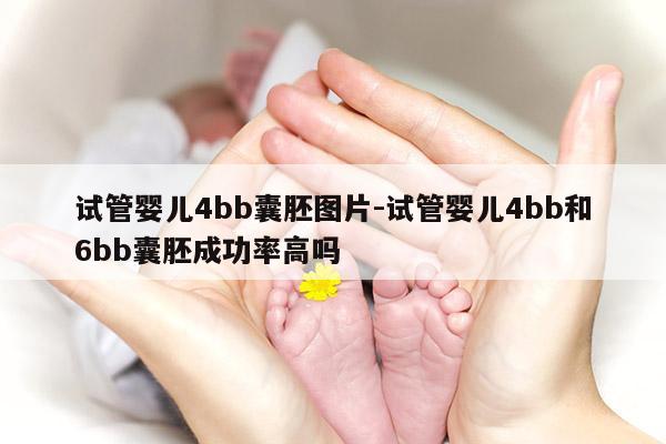 试管婴儿4bb囊胚图片-试管婴儿4bb和6bb囊胚成功率高吗