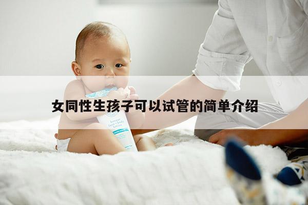 女同性生孩子可以试管的简单介绍