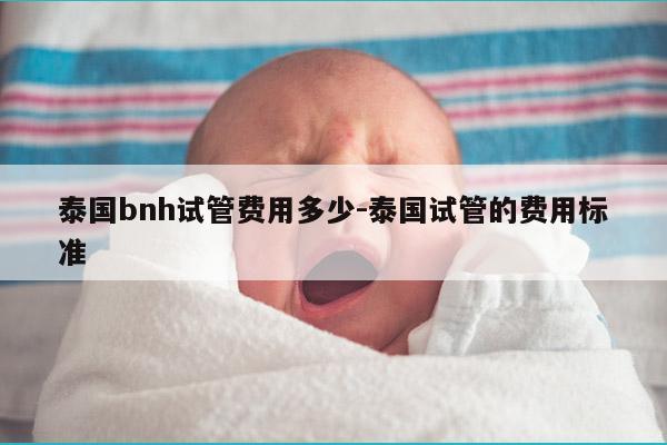 泰国bnh试管费用多少-泰国试管的费用标准