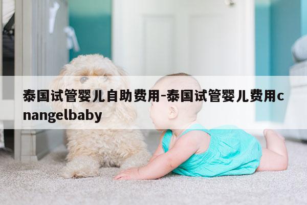 泰国试管婴儿自助费用-泰国试管婴儿费用cnangelbaby