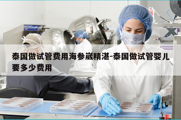 泰国做试管费用海参崴精湛-泰国做试管婴儿要多少费用