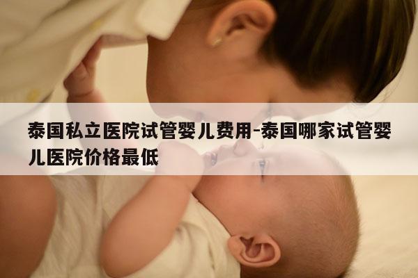 泰国私立医院试管婴儿费用-泰国哪家试管婴儿医院价格最低