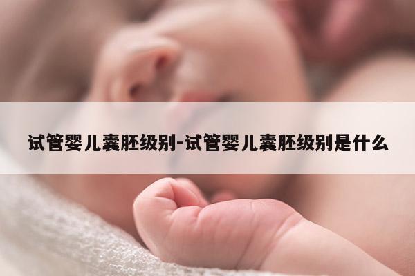 试管婴儿囊胚级别-试管婴儿囊胚级别是什么