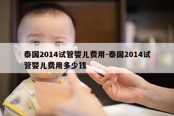 泰国2014试管婴儿费用-泰国2014试管婴儿费用多少钱