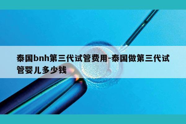 泰国bnh第三代试管费用-泰国做第三代试管婴儿多少钱