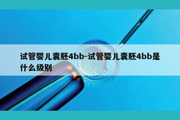 试管婴儿囊胚4bb-试管婴儿囊胚4bb是什么级别