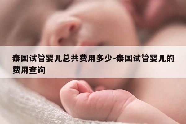 泰国试管婴儿总共费用多少-泰国试管婴儿的费用查询