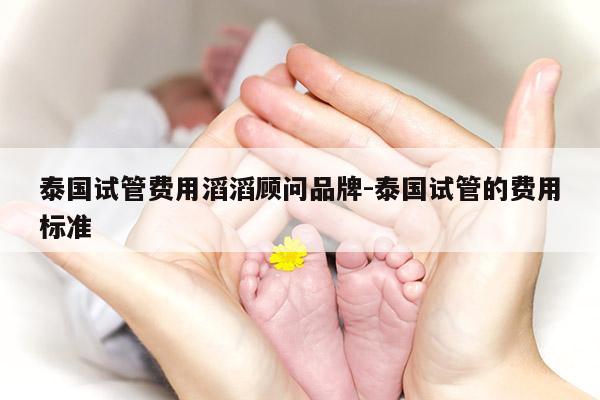 泰国试管费用滔滔顾问品牌-泰国试管的费用标准