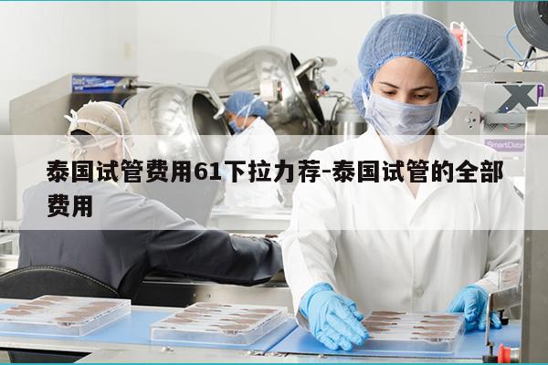 泰国试管费用61下拉力荐-泰国试管的全部费用