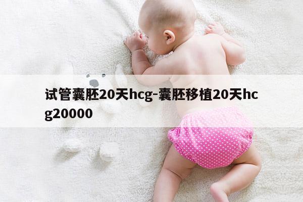 试管囊胚20天hcg-囊胚移植20天hcg20000