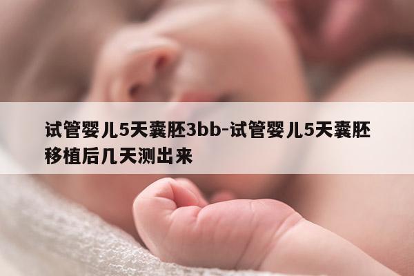 试管婴儿5天囊胚3bb-试管婴儿5天囊胚移植后几天测出来