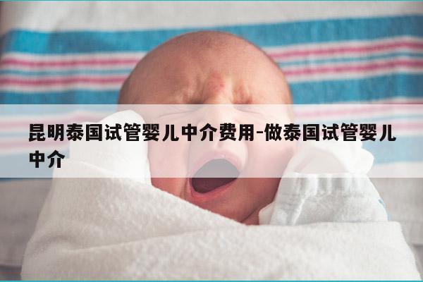 昆明泰国试管婴儿中介费用-做泰国试管婴儿中介