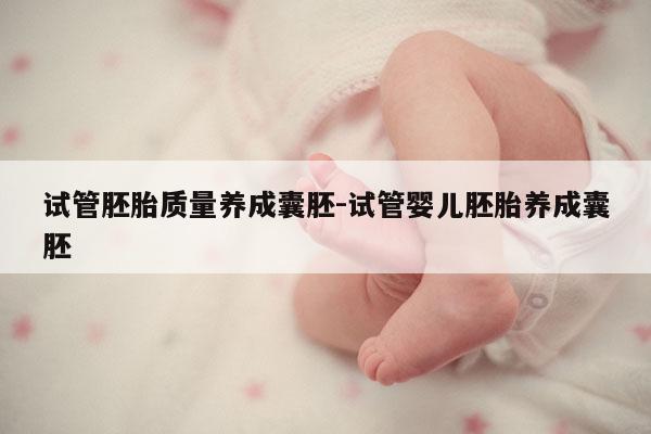 试管胚胎质量养成囊胚-试管婴儿胚胎养成囊胚