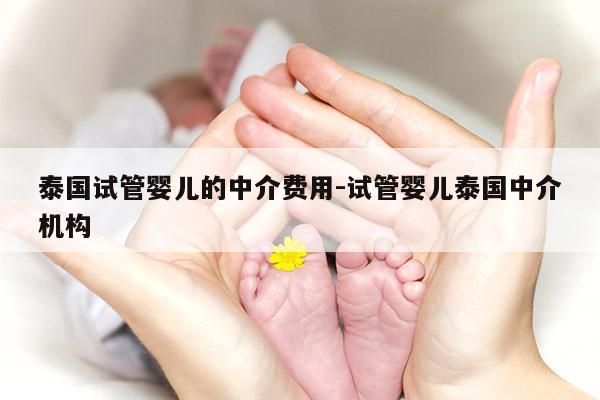 泰国试管婴儿的中介费用-试管婴儿泰国中介机构