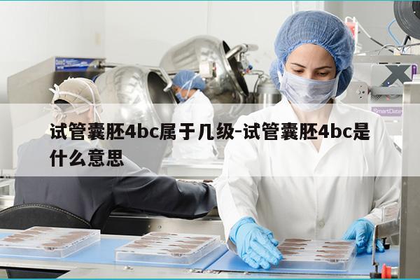 试管囊胚4bc属于几级-试管囊胚4bc是什么意思