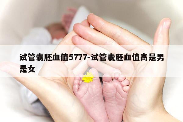 试管囊胚血值5777-试管囊胚血值高是男是女