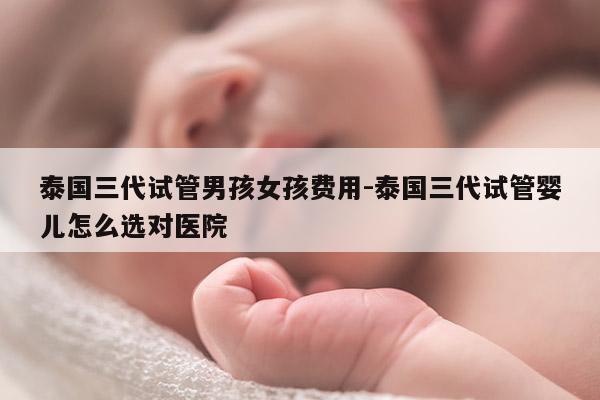 泰国三代试管NH女孩费用-泰国三代试管婴儿怎么选对医院