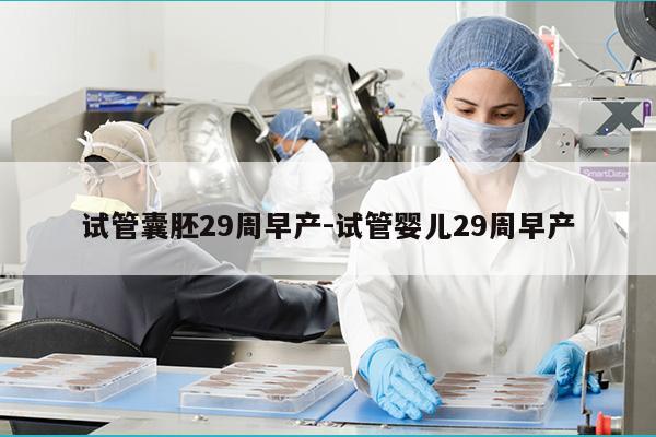 试管囊胚29周早产-试管婴儿29周早产